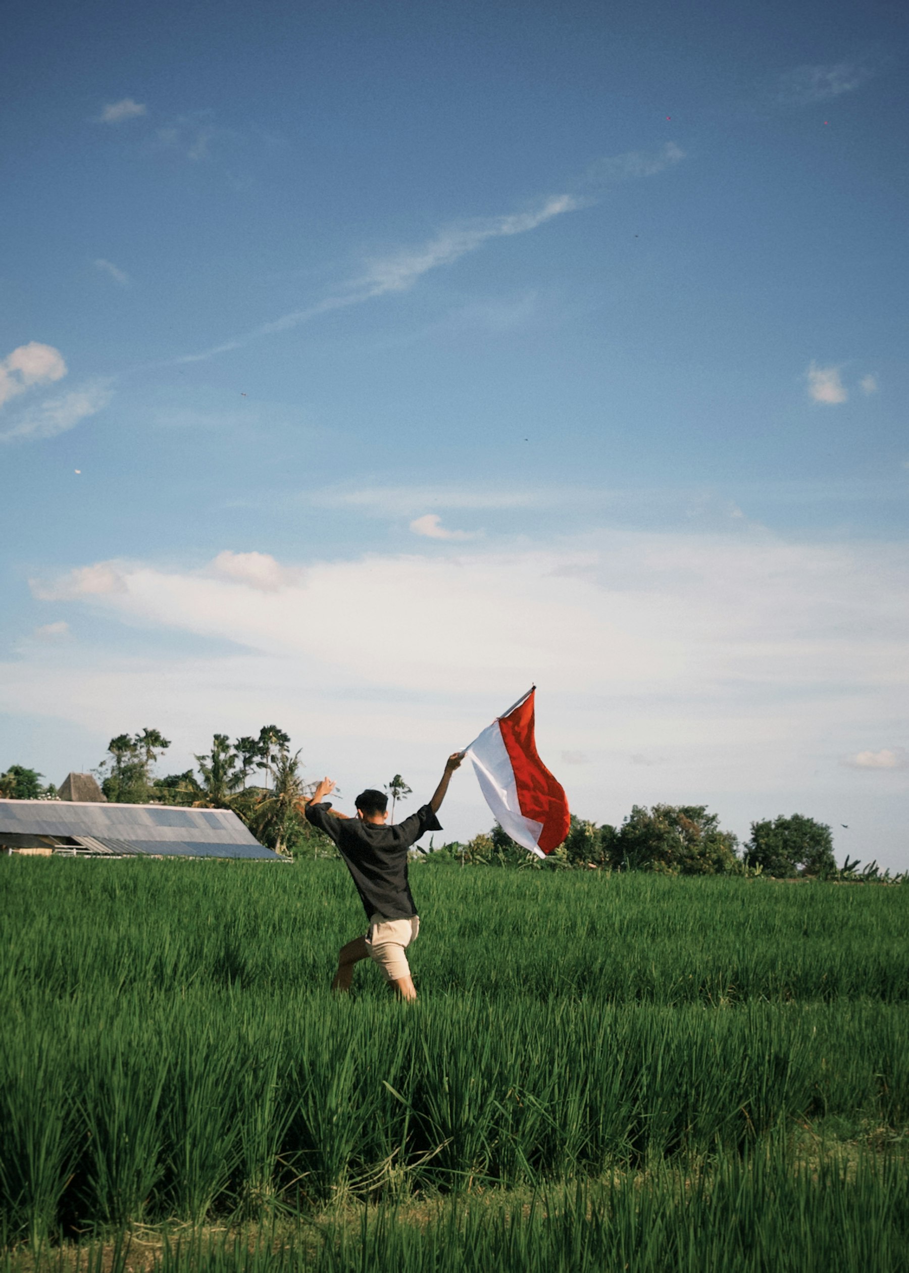Bendera Indonesia di area persawahan